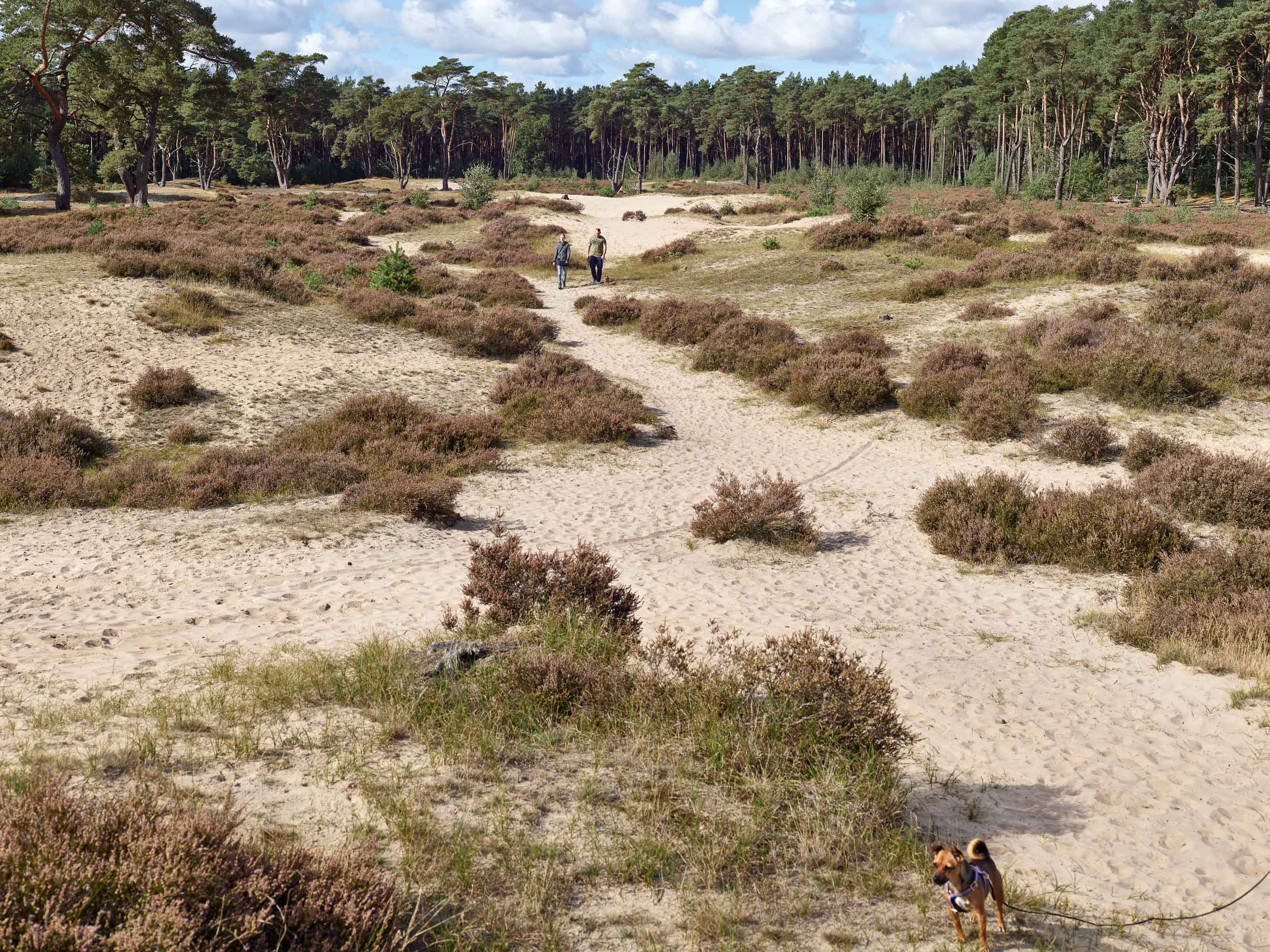 Hamburg - Stadt und Umland   9/10