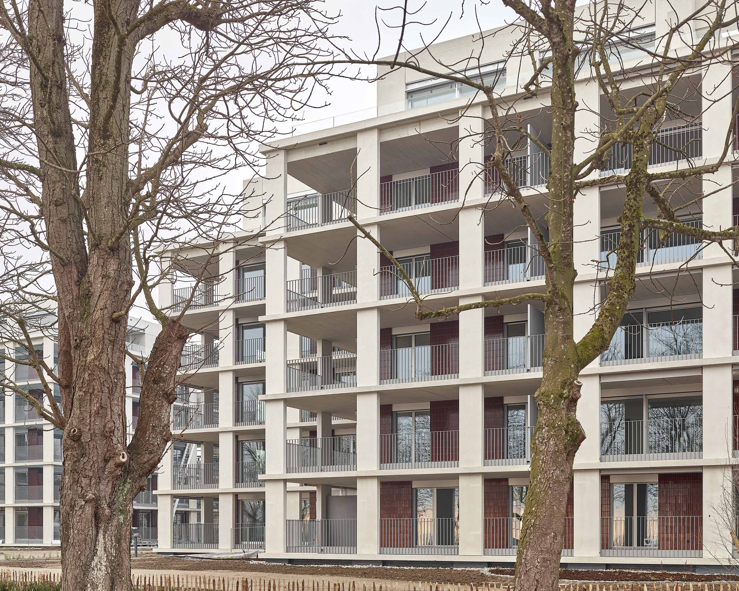 Lakeside Apartment Buildings   3/8